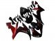 2004-2006 Glossy Black Red Flame Yamaha YZF R1 Motorcycle Fairings