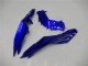 2013-2024 Blue Black White Flame Kawasaki Ninja 300 EX300R Motorcycle Fairings