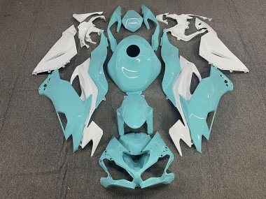 2019-2023 White Aqua Blue Kawasaki ZX6R Motorcycle Fairings