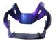 2000-2001 Chameleon Blue Purple Honda CBR900RR 929 Motorcycle Fairings