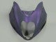 1996-2007 Chameleon Grey Dazz Pearl Purple Suzuki GSXR 1300 Hayabusa Motorcycle Fairings