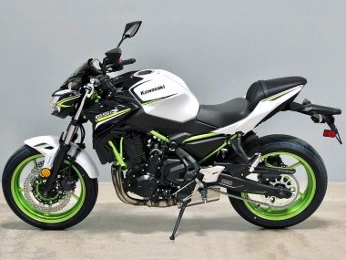 2020-2023 White Black Green Kawasaki Ninja Z650 Motorcycle Fairings