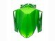 2022-2025 Green Glossy Black Kawasaki Versys 650 Motorcycle Fairings