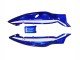 1996-2007 Blue White Black Yamaha YZF600R Thundercat Motorcycle Fairings