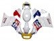1984-1987 White Red Blue Yellow Motul Michelin Pepsi Suzuki RG400 RG500 RG400/500 Motorcycle Fairings
