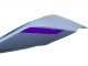 2020-2024 Glossy Grey Purple Glossy Black Ducati Panigale V2 Motorcycle Fairings