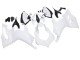 2020-2024 Unpainted Ducati Panigale V2 Motorcycle Fairings