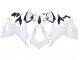 2020-2024 Unpainted Ducati Panigale V2 Motorcycle Fairings