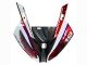 2015-2016 White Red Blue Black BMW S1000RR Bike Fairings
