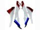 2015-2016 White Red Blue Black BMW S1000RR Bike Fairings