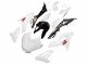 2014-2016 White BMW S1000R Motorcycle Fairings