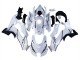 2021-2025 White Black Kawasaki ZX10R Motorcycle Fairings