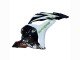 2009-2012 White Green Glossy Black Hannspree Honda CBR600RR Motorcycle Fairings