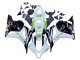 2009-2012 White Green Glossy Black Hannspree Honda CBR600RR Motorcycle Fairings