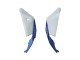 2021-2025 White Green Blue Black Kawasaki ZX10R Motorcycle Fairings