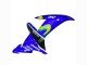 2002-2003 Blue Black Green MoviStar ENEOS Monster Yamaha YZF 1000 R1 Motorcycle Fairings