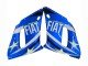 1998-2002 White Blue Neon Yellow Fiat Motul Michelin Yamaha YZF 600 R6 Motorcycle Fairings