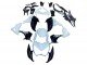 2013-2018 White Glossy Black Green Kawasaki Z800 Motorcycle Fairings