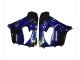 2000-2001 Glossy Black Blue Flame White Kawasaki ZX9R Motorcycle Fairings