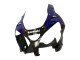 2000-2001 Glossy Black Blue Flame White Kawasaki ZX9R Motorcycle Fairings