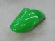 2000-2001 Green Silver Black Kawasaki ZX9R Motorcycle Fairings