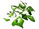 2000-2001 Green Flame Kawasaki ZX9R Motorcycle Fairings