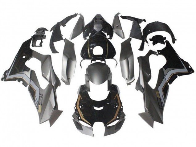 2021-2025 Grey Glossy Black Gold Kawasaki ZX10R Motorcycle Fairings