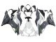 2019-2022 White Grey Green Kawasaki ZX6R Motorcycle Fairings