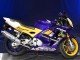 1995-1996 Yellow Silver Blue Honda CBR600 F3 Motorcycle Fairings